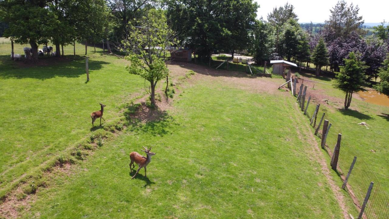 Le Gagnage 31 Pers- Malmedy, Rustique, Vue, Wellness Villa Exteriör bild