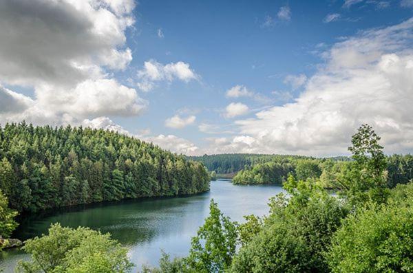 Le Gagnage 31 Pers- Malmedy, Rustique, Vue, Wellness Villa Exteriör bild