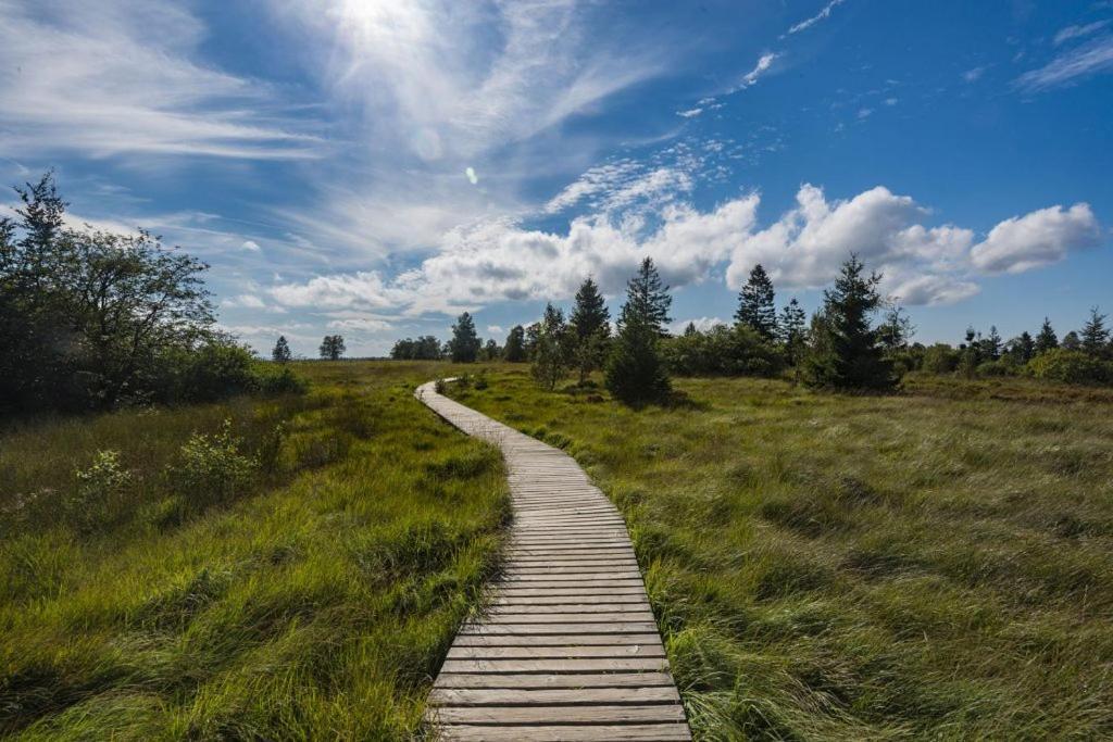 Le Gagnage 31 Pers- Malmedy, Rustique, Vue, Wellness Villa Exteriör bild